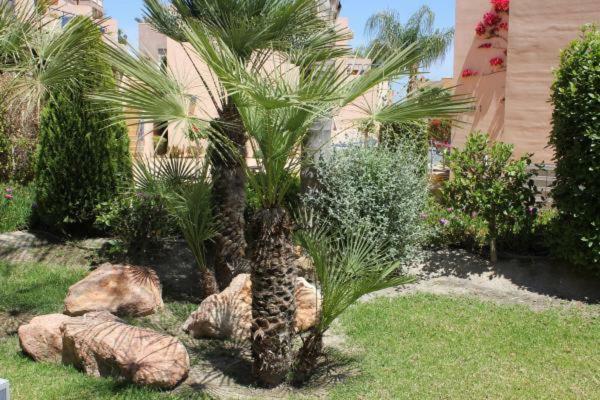 Atalaya Graceful Apartman Mojácar Kültér fotó